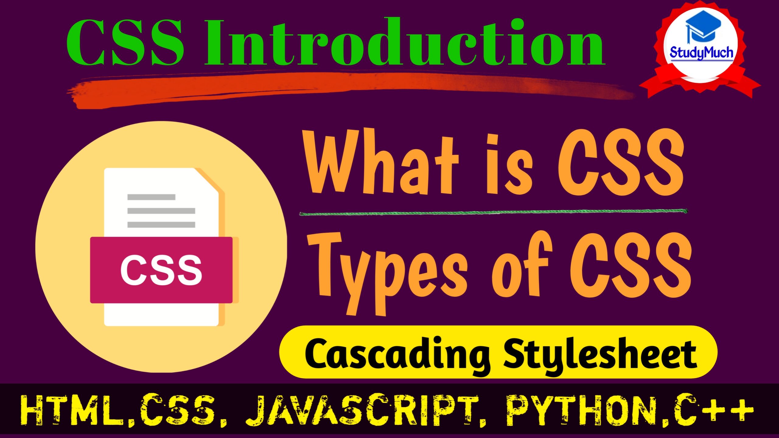 StudyMuch What is CSS