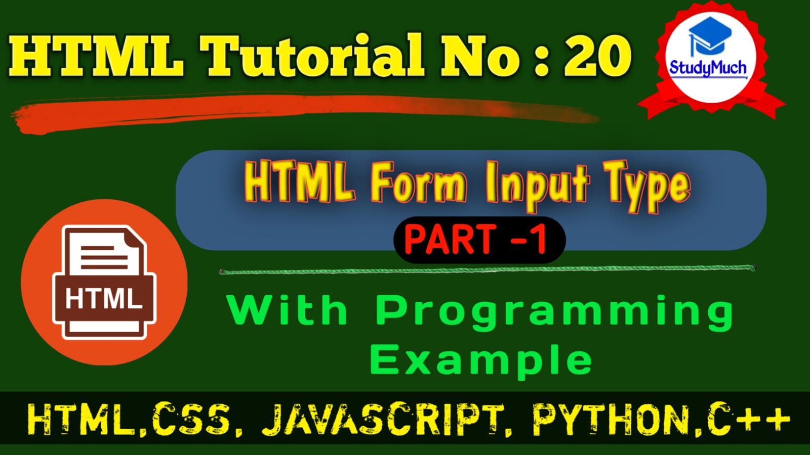 Studymuch.in HTML Input Type