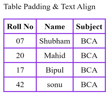 CSS Styling Table » StudyMuch