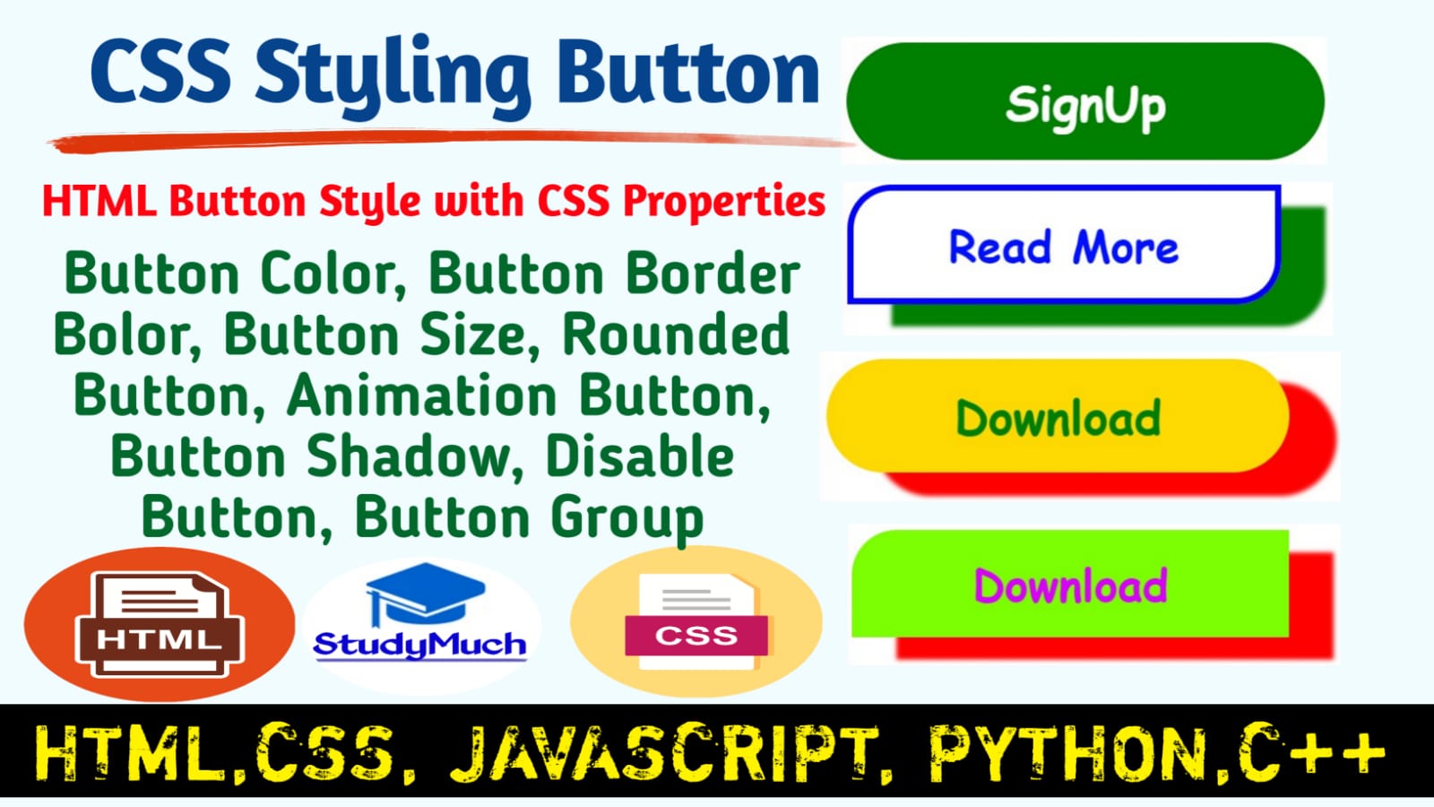 StudyMuch Styling CSS Button