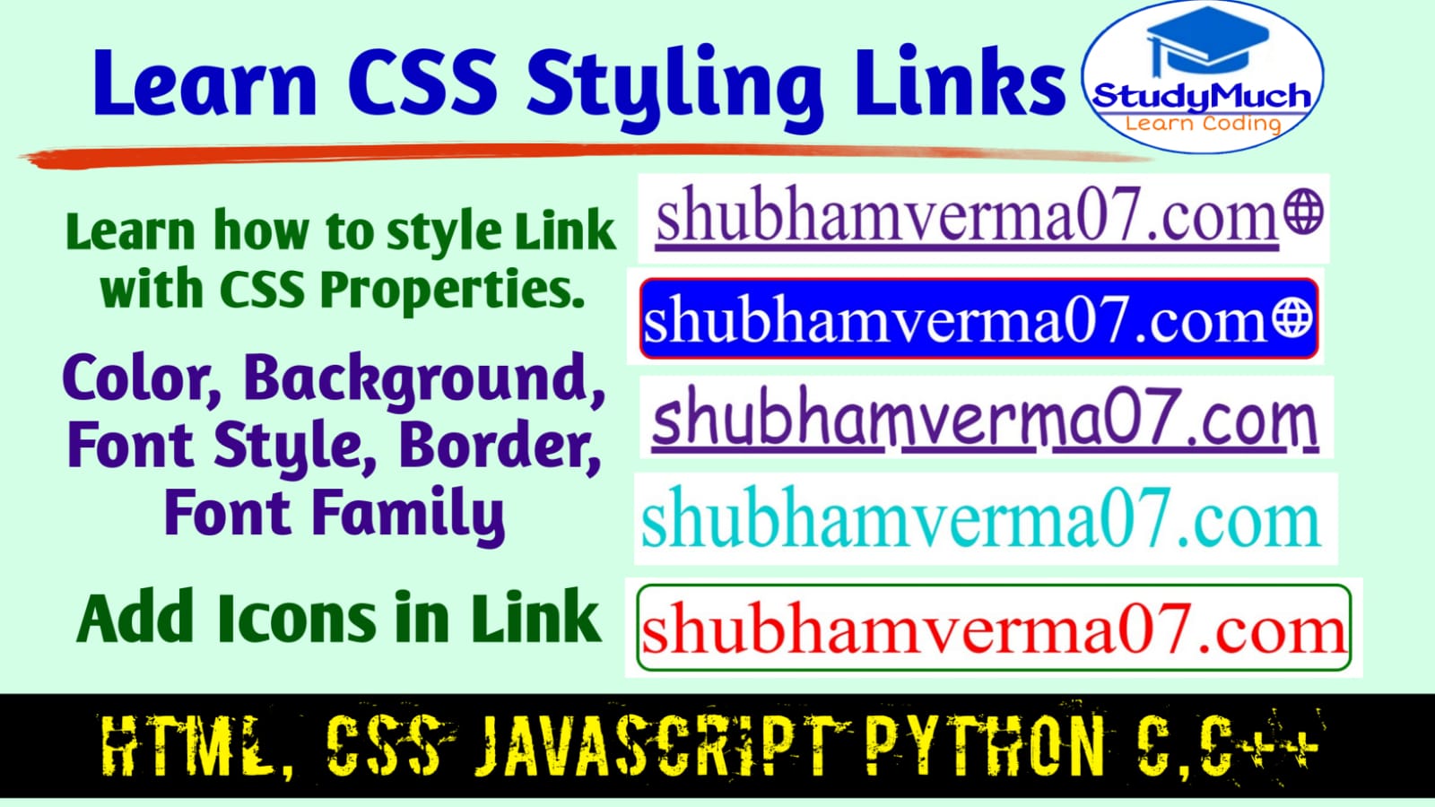 StudyMuch CSS Styling Links