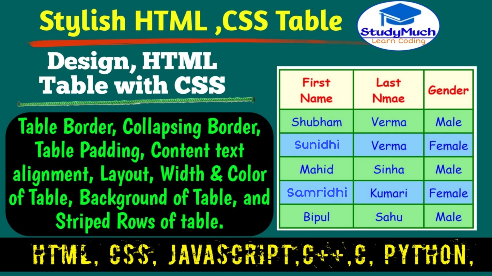 CSS Styling Table studymuch.in