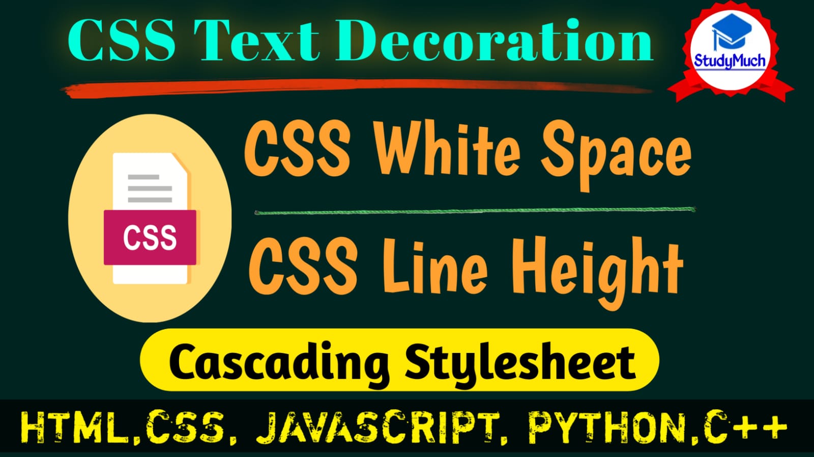 CSS White Space StudyMuch