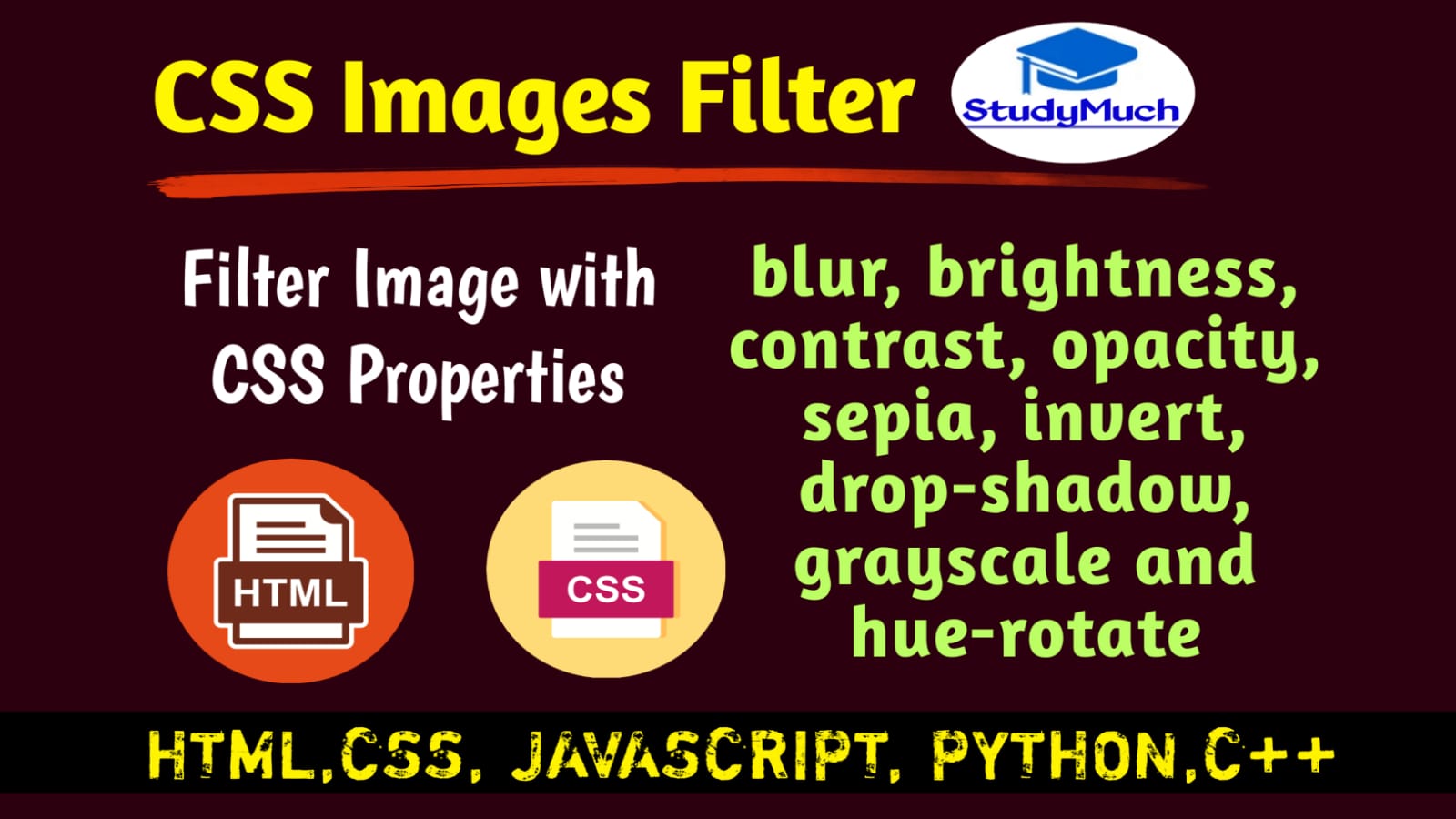 Studymuch.in CSS Image Filter