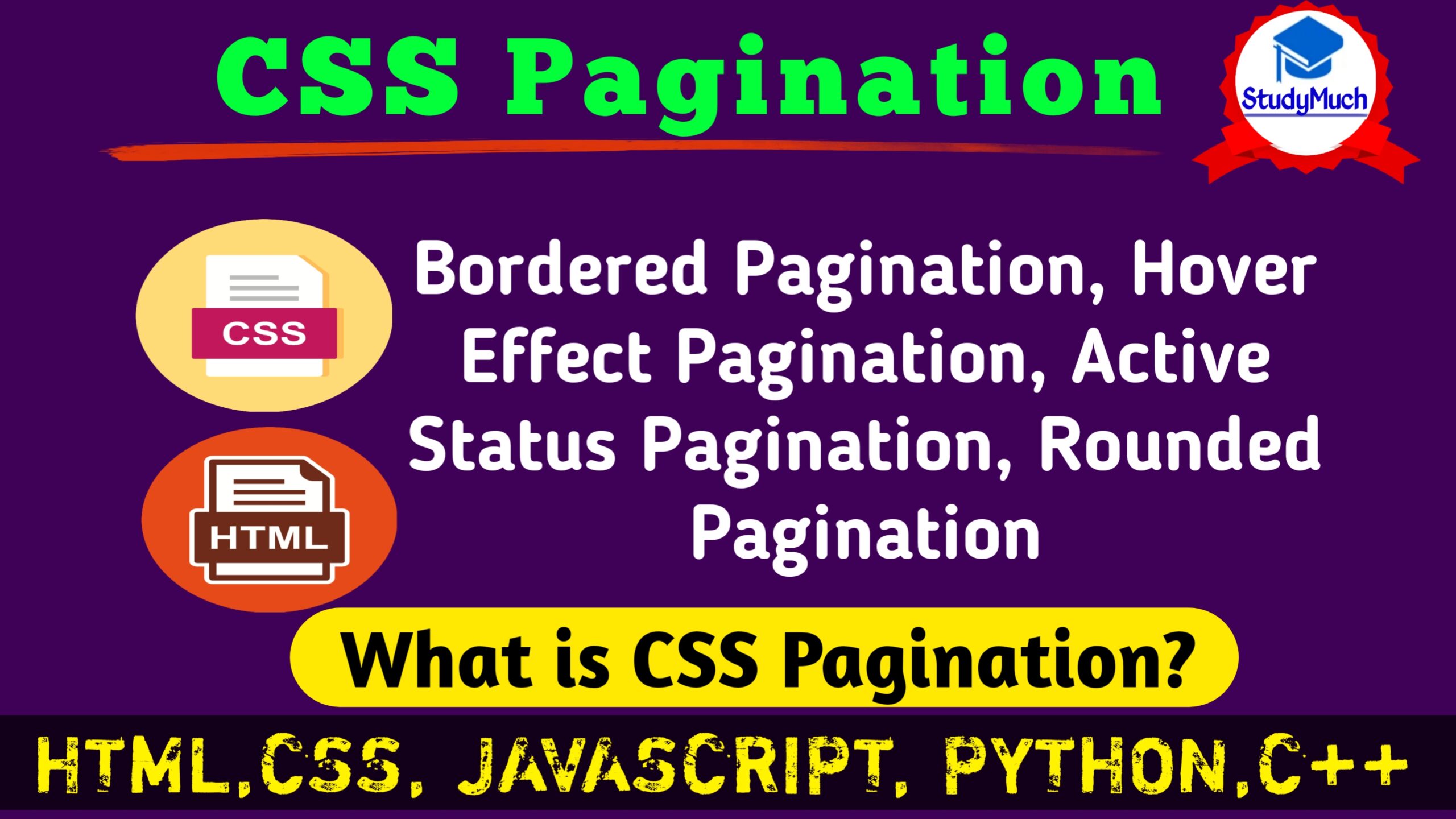 CSS Pagination studymuch.in