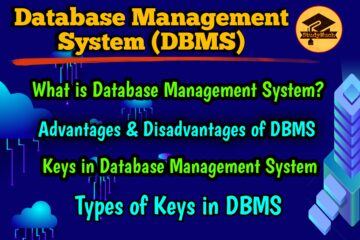 Database Management System studymuch