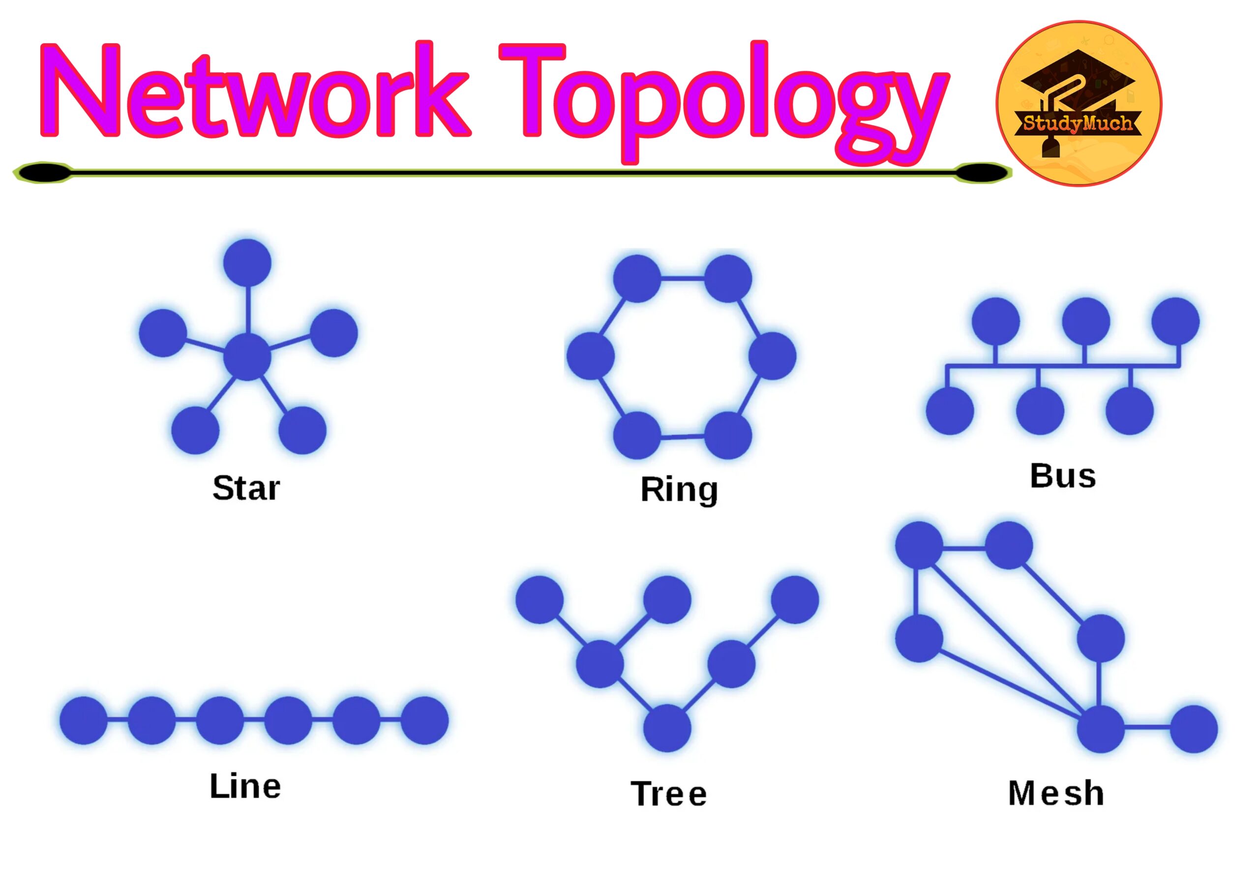 Network Topology StudyMuch
