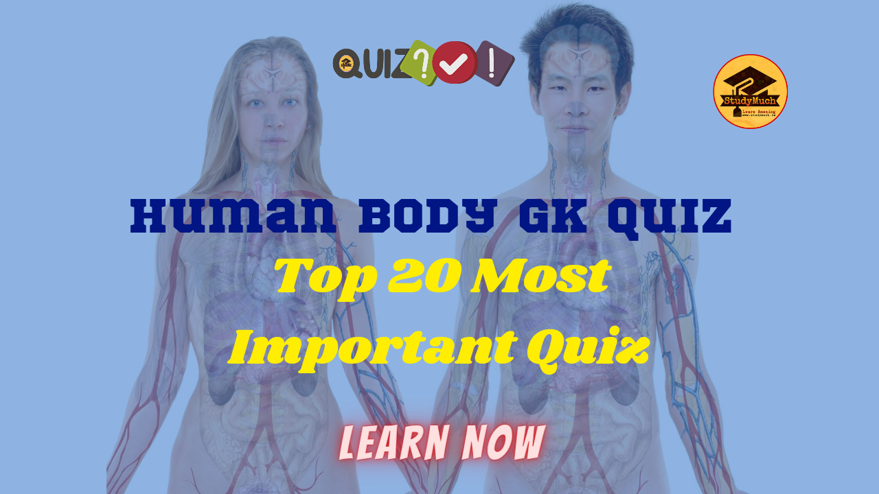 Human Body Quiz