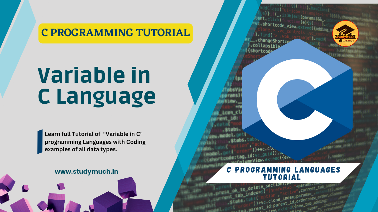 Variable in C StudyMuch