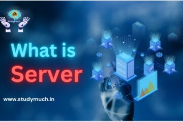 What is Server StudyMuch