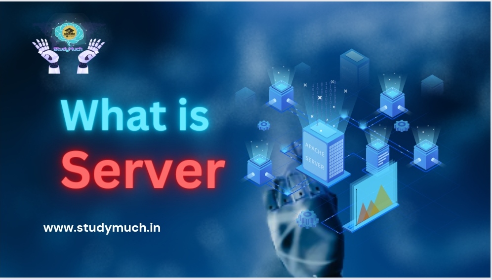 What is Server StudyMuch
