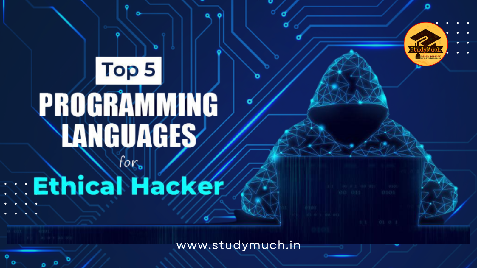 5 Best Programming Languages for Ethical Hacking