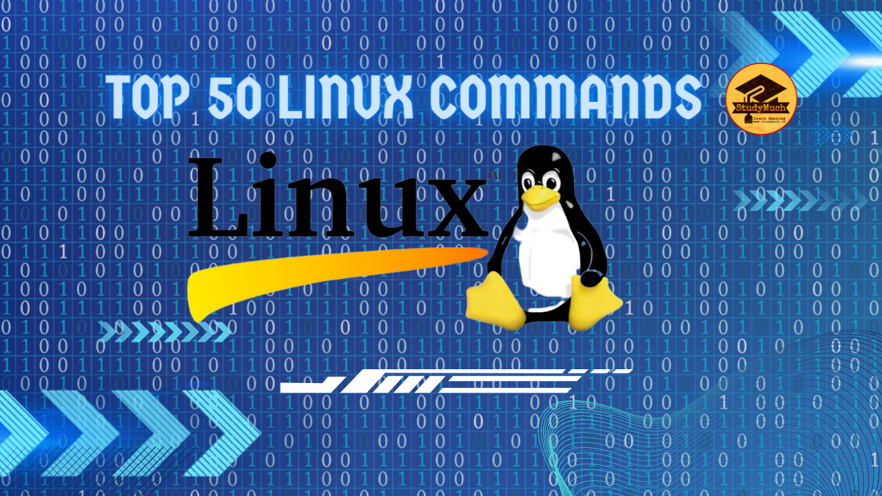 List of 50 Linux Commands